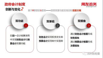 新政府準(zhǔn)則制度下用友政務(wù)軟件配套會計用品的A4版展示與應(yīng)用解析