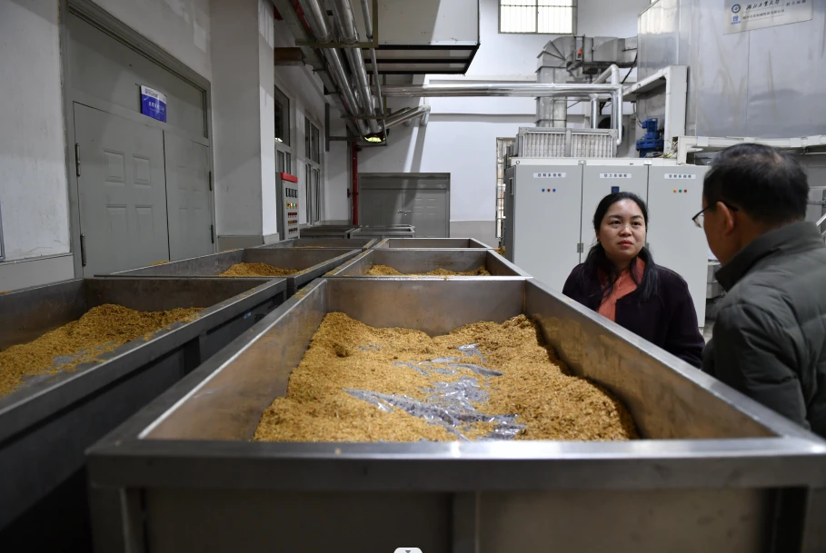 大學里的隱藏的全能釀酒工廠--訪湖北工業(yè)大學釀酒中試基地